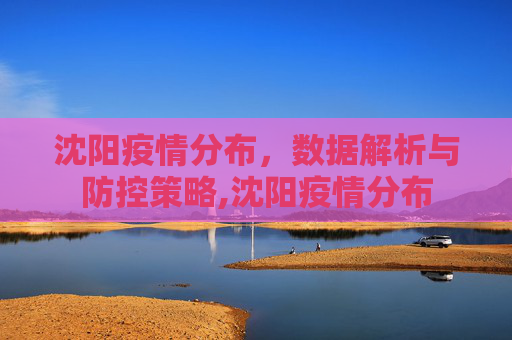 沈阳疫情分布，数据解析与防控策略,沈阳疫情分布