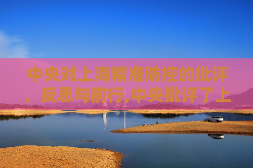 中央对上海精准防控的批评，反思与前行,中央批评了上海精准防控