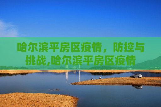 哈尔滨平房区疫情，防控与挑战,哈尔滨平房区疫情