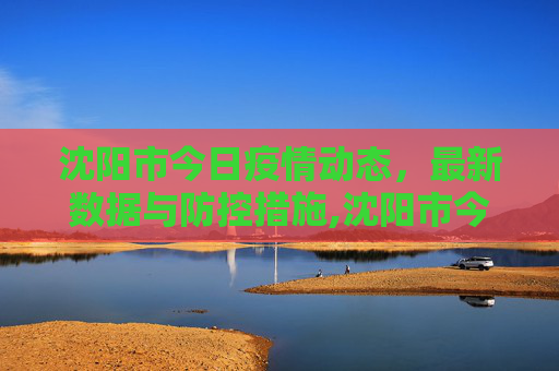 沈阳市今日疫情动态，最新数据与防控措施,沈阳市今天最新疫情