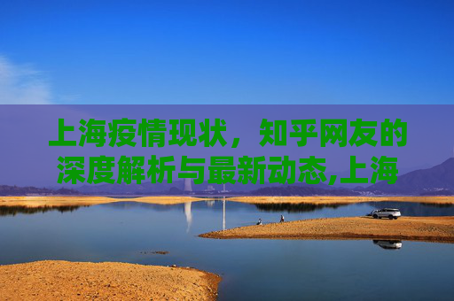 上海疫情现状，知乎网友的深度解析与最新动态,上海疫情情况知乎最新