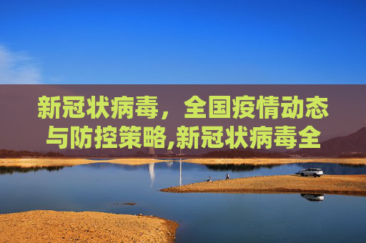 新冠状病毒，全国疫情动态与防控策略,新冠状病毒全国疫情动态