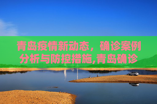 青岛疫情新动态，确诊案例分析与防控措施,青岛确诊