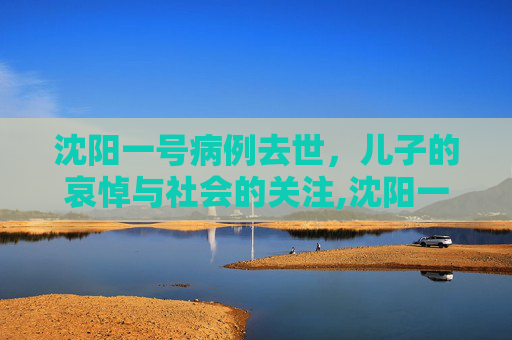 沈阳一号病例去世，儿子的哀悼与社会的关注,沈阳一号病例去世其子发声
