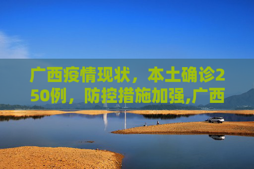 广西疫情现状，本土确诊250例，防控措施加强,广西现有本土确诊250例