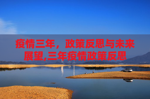 疫情三年，政策反思与未来展望,三年疫情政策反思