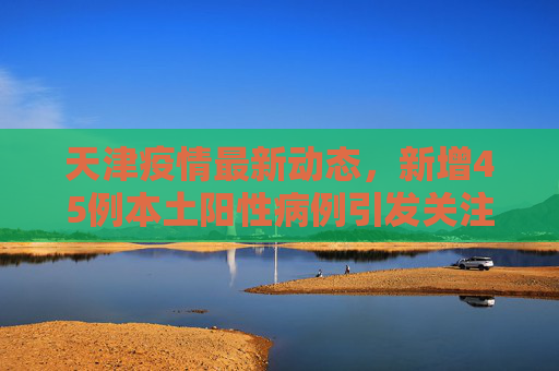 天津疫情最新动态，新增45例本土阳性病例引发关注,天津新增45例本土阳性