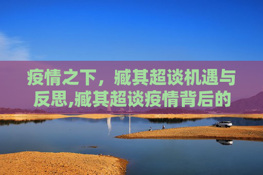 疫情之下，臧其超谈机遇与反思,臧其超谈疫情背后的机遇与反思