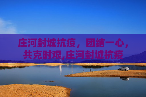 庄河封城抗疫，团结一心，共克时艰,庄河封城抗疫