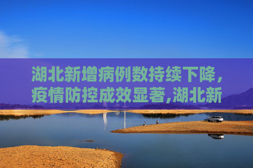 湖北新增病例数持续下降，疫情防控成效显著,湖北新增