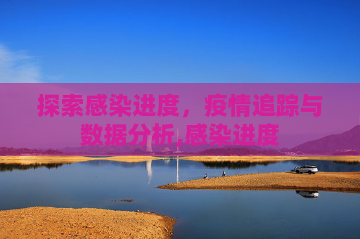 探索感染进度，疫情追踪与数据分析,感染进度