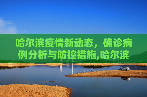 哈尔滨疫情新动态，确诊病例分析与防控措施,哈尔滨确诊病例