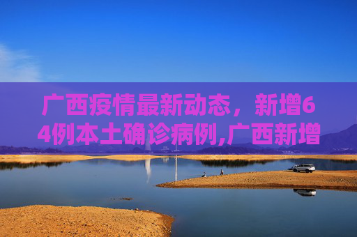 广西疫情最新动态，新增64例本土确诊病例,广西新增64例本土确诊的简单介绍