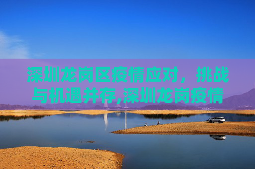 深圳龙岗区疫情应对，挑战与机遇并存,深圳龙岗疫情