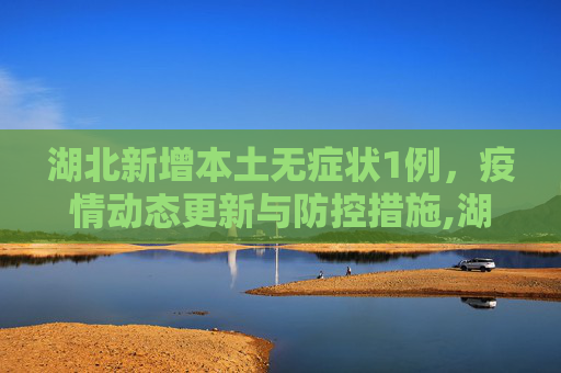 湖北新增本土无症状1例，疫情动态更新与防控措施,湖北新增本土无症状1例