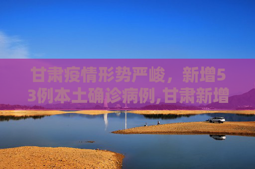 甘肃疫情形势严峻，新增53例本土确诊病例,甘肃新增53例本土确诊病例