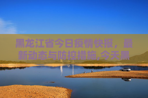 黑龙江省今日疫情快报，最新动态与防控措施,今天黑龙江省最新疫情