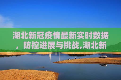 湖北新冠疫情最新实时数据，防控进展与挑战,湖北新冠疫情最新实时数据