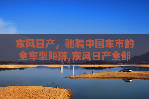 东风日产，驰骋中国车市的全车型矩阵,东风日产全部车型