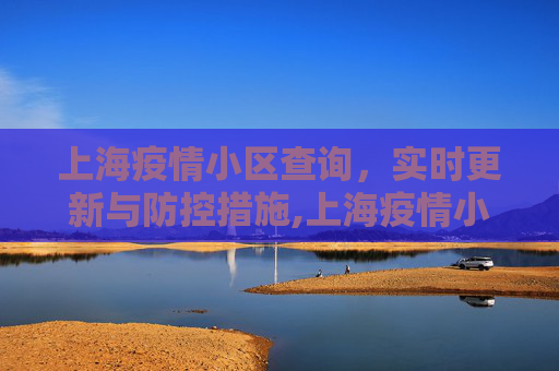 上海疫情小区查询，实时更新与防控措施,上海疫情小区查询