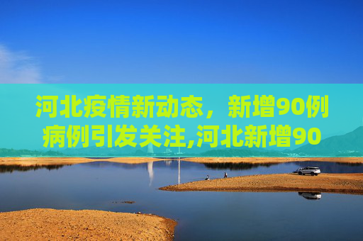 河北疫情新动态，新增90例病例引发关注,河北新增90例