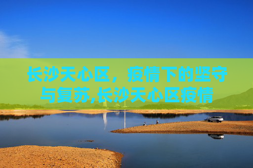 长沙天心区，疫情下的坚守与复苏,长沙天心区疫情