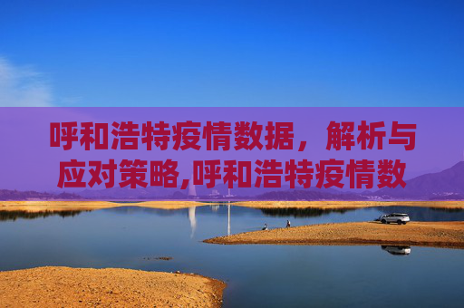 呼和浩特疫情数据，解析与应对策略,呼和浩特疫情数据
