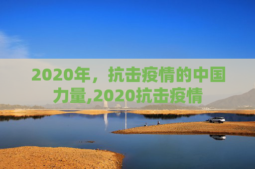 2020年，抗击疫情的中国力量,2020抗击疫情