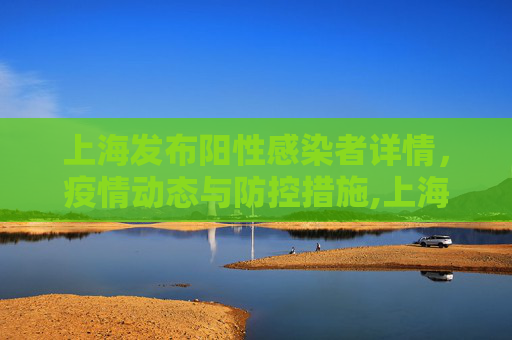 上海发布阳性感染者详情，疫情动态与防控措施,上海发布阳性感染者详情