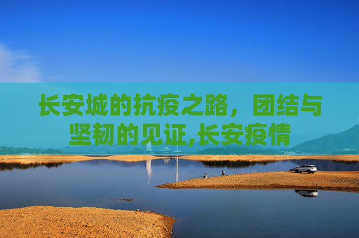长安城的抗疫之路，团结与坚韧的见证,长安疫情