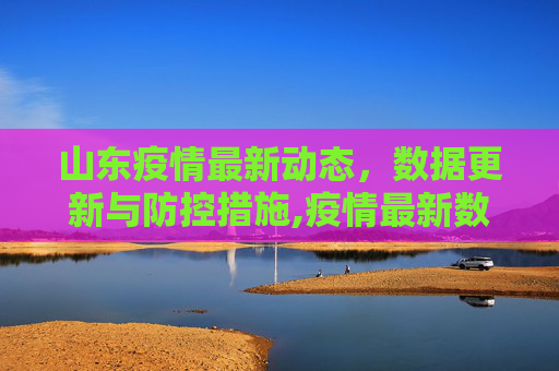 山东疫情最新动态，数据更新与防控措施,疫情最新数据消息山东