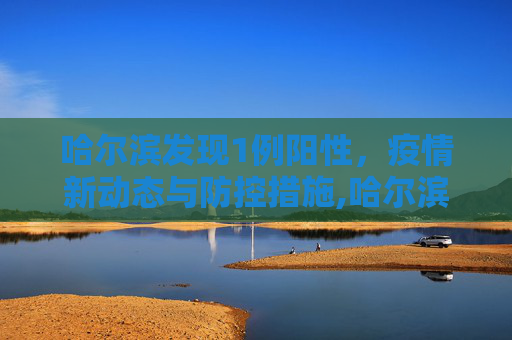 哈尔滨发现1例阳性，疫情新动态与防控措施,哈尔滨发现1例阳性