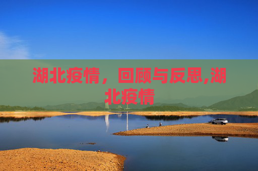 湖北疫情，回顾与反思,湖北疫情