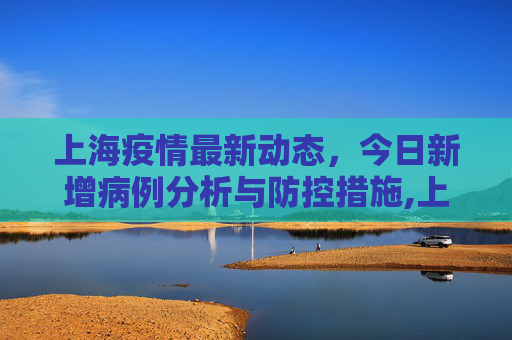 上海疫情最新动态，今日新增病例分析与防控措施,上海疫情最新消息今天新增