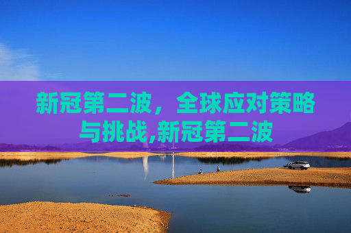 新冠第二波，全球应对策略与挑战,新冠第二波