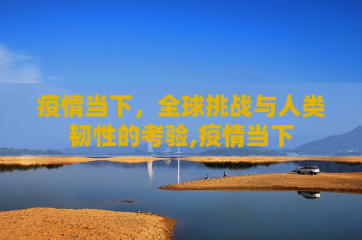 疫情当下，全球挑战与人类韧性的考验,疫情当下