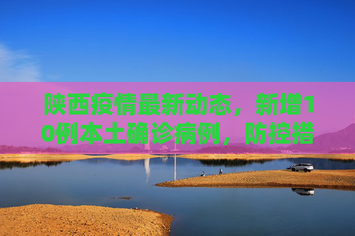 陕西疫情最新动态，新增10例本土确诊病例，防控措施加强,陕西新增10例本土确诊