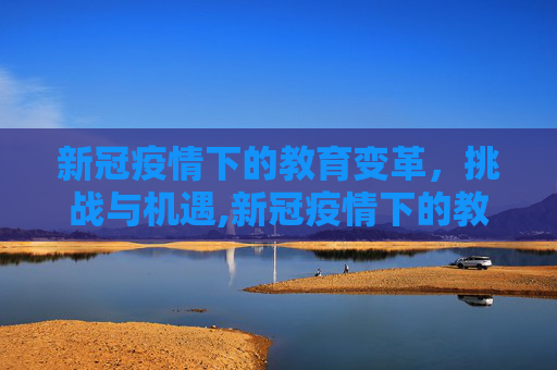 新冠疫情下的教育变革，挑战与机遇,新冠疫情下的教育变革