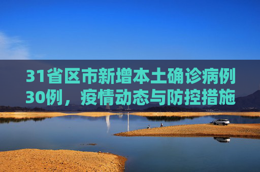 31省区市新增本土确诊病例30例，疫情动态与防控措施,31省区市新增本土确诊病例30例