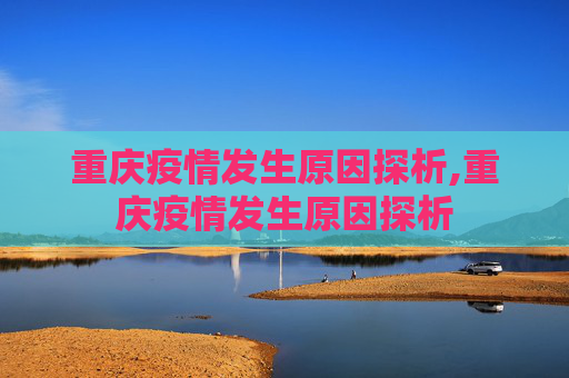 重庆疫情发生原因探析,重庆疫情发生原因探析