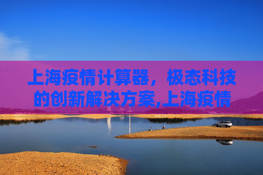上海疫情计算器，极态科技的创新解决方案,上海疫情计算器上海极态科技