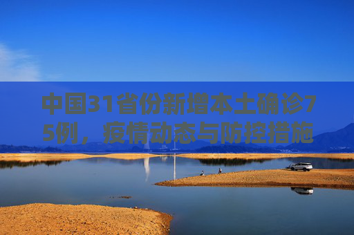 中国31省份新增本土确诊75例，疫情动态与防控措施,31省份新增本土确诊75例