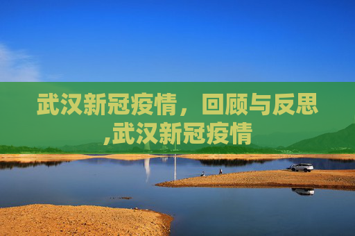 武汉新冠疫情，回顾与反思,武汉新冠疫情