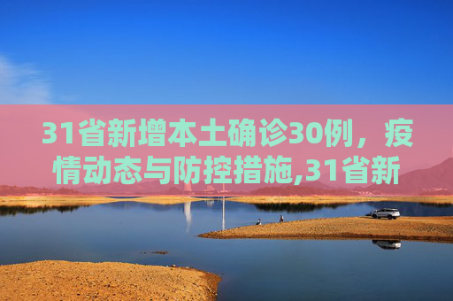 31省新增本土确诊30例，疫情动态与防控措施,31省新增本土确诊30例