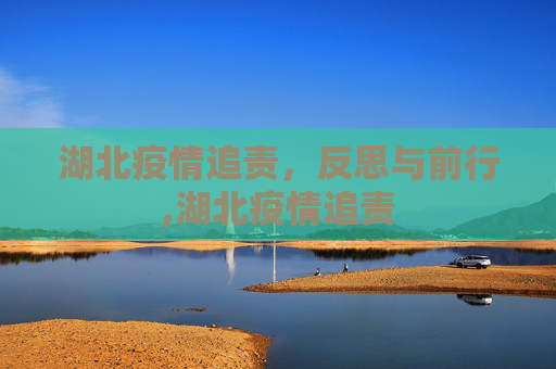 湖北疫情追责，反思与前行,湖北疫情追责