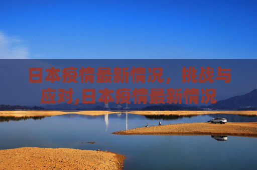 日本疫情最新情况，挑战与应对,日本疫情最新情况