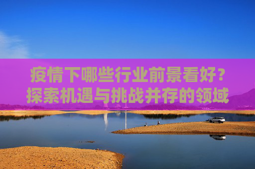 疫情下哪些行业前景看好？探索机遇与挑战并存的领域,疫情下哪些行业前景看好？探索机遇与挑战并存的领域