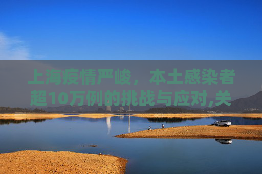 上海疫情严峻，本土感染者超10万例的挑战与应对,关于上海现有本土感染者超10万例的信息