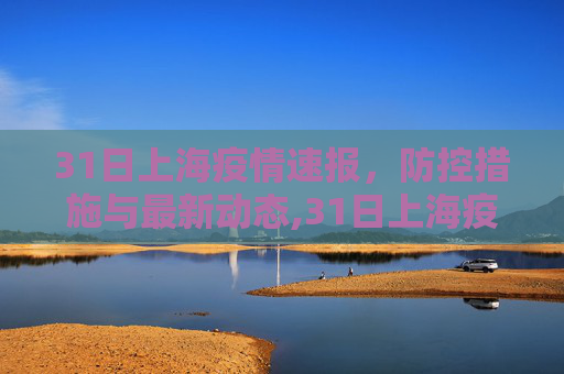 31日上海疫情速报，防控措施与最新动态,31日上海疫情速报