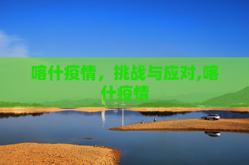 喀什疫情，挑战与应对,喀什疫情